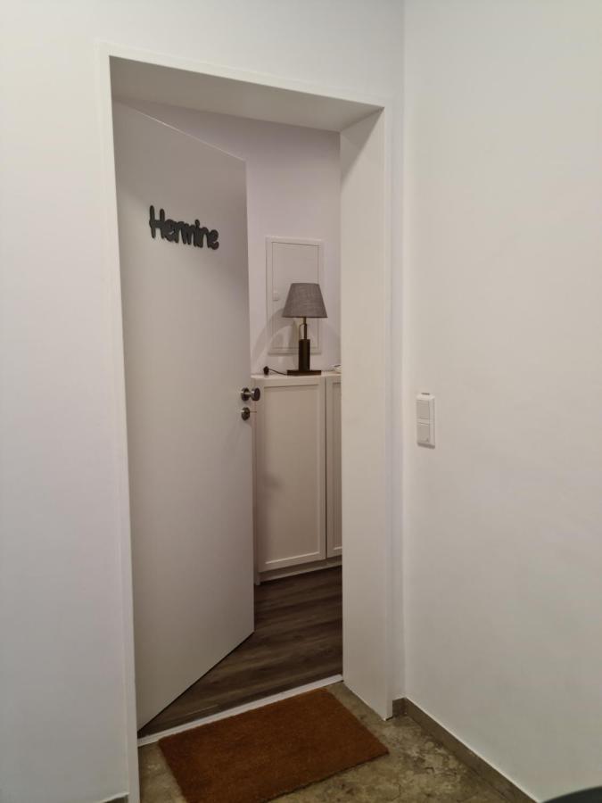 Pilgrims "Hermine" Fewo Mit 3 Schlafzimmern, Balkon, Fast Internet Brilon Exteriér fotografie